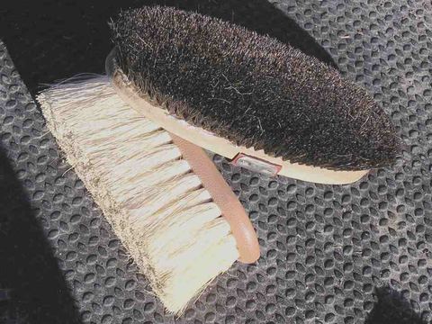 Two stiff grooming brushes, one natural fibre and one nylon, used for cattle grooming